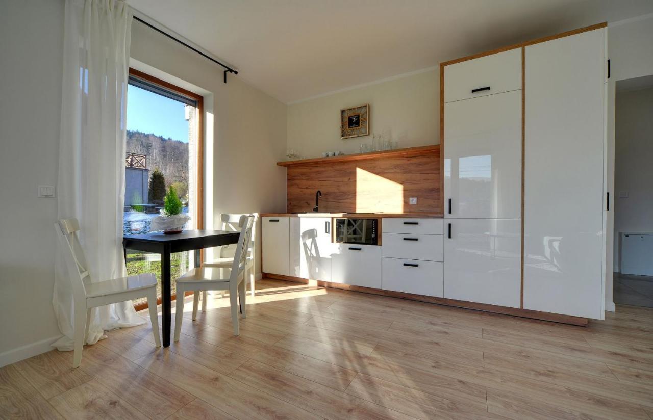 Apart-Invest Apartament Grottgera Studio 3 Schreiberhau Exterior foto